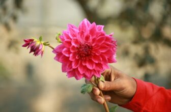 Gretchen Rubin’s Gifts that Keep Giving All Year Long